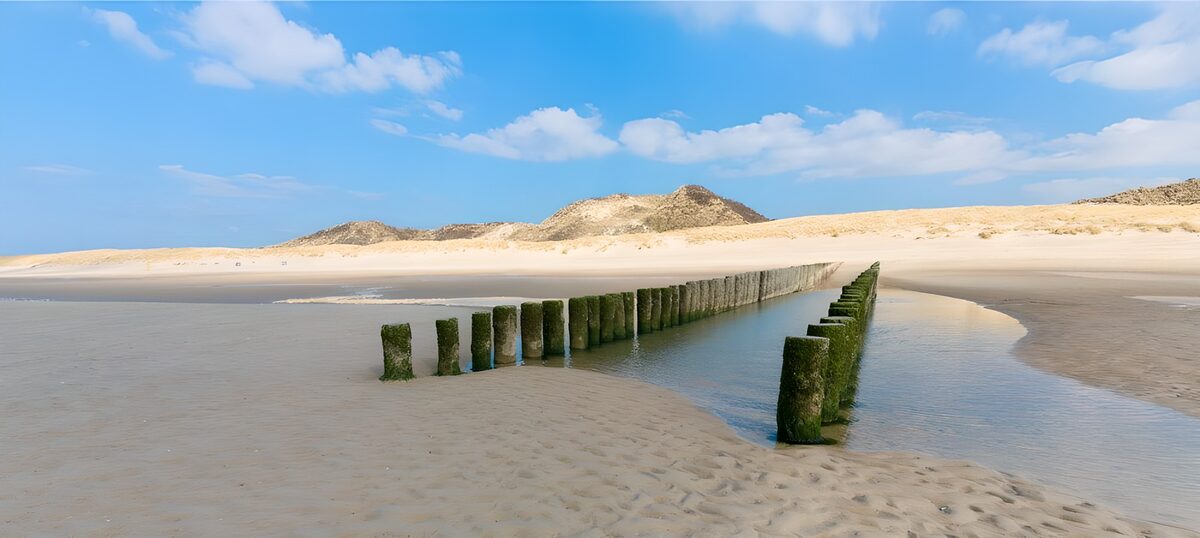 OCUK56059: Two rows of beach poles at low tide