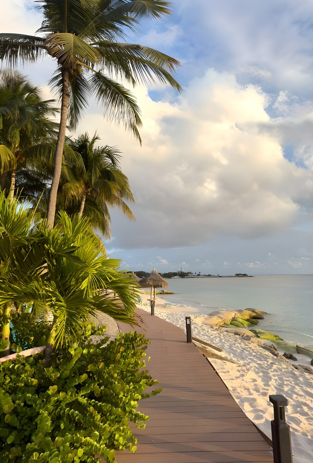 OCUK86523: Serene Coastal Walkway at Sunset