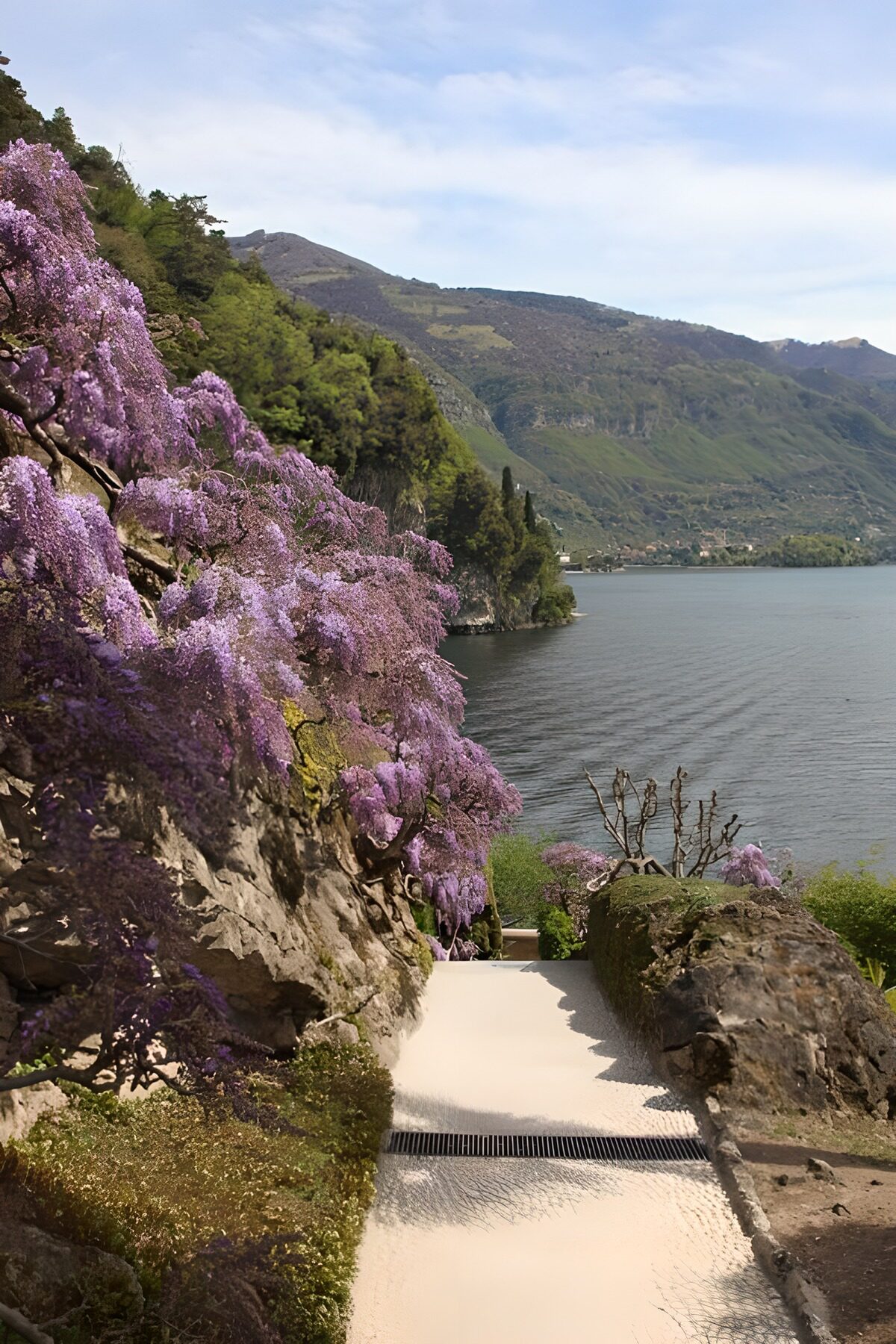 OCUK98295: Serene Lakeside Pathway in Bloom