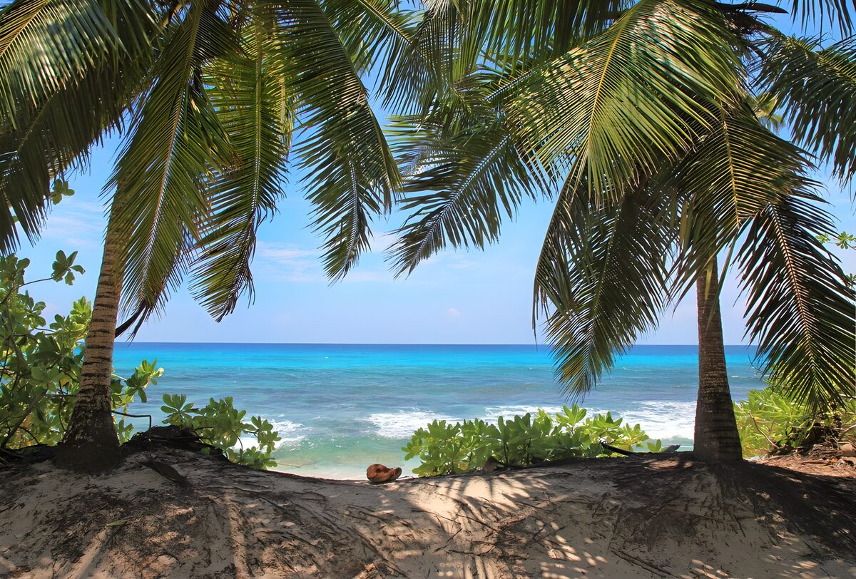 OCUK69273: View at the sea between two palmtrees and coconuts