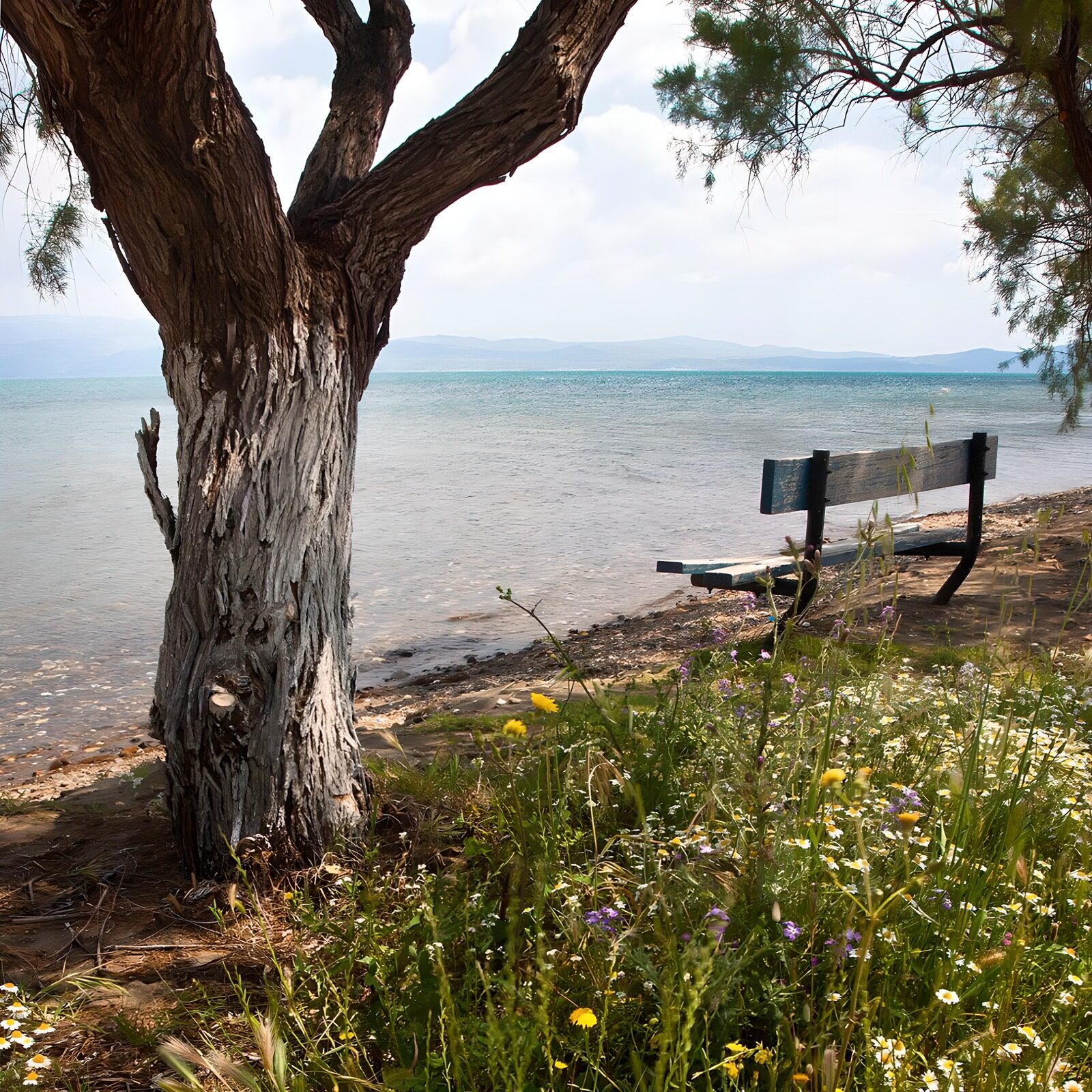 OCUK33430: Serene Lakeside Retreat