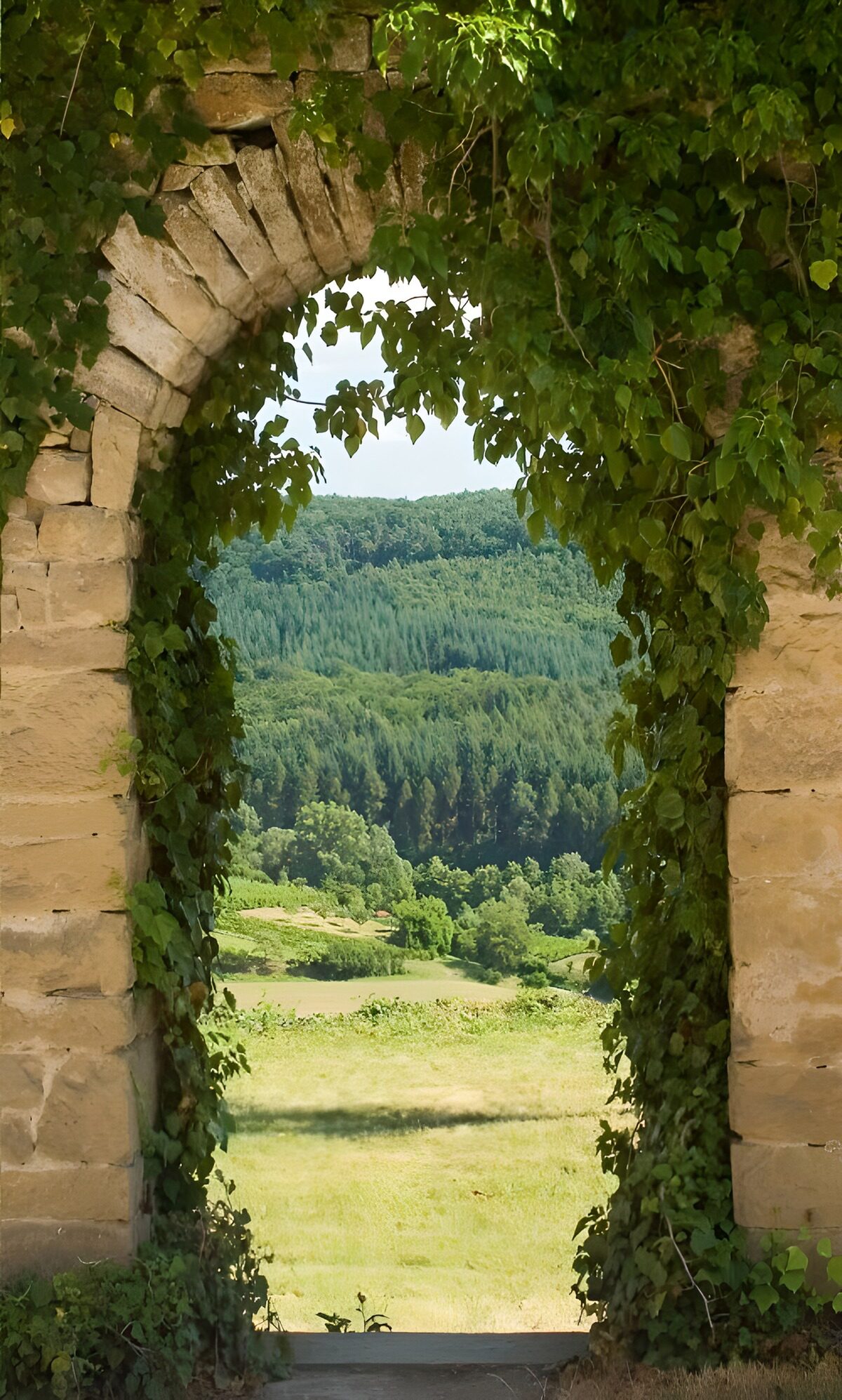 OCUK50774: Archway to Tranquility