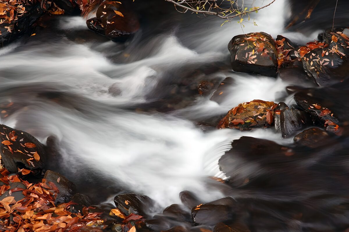 OCUK63608: Gentle Stream Over Autumn Leaves