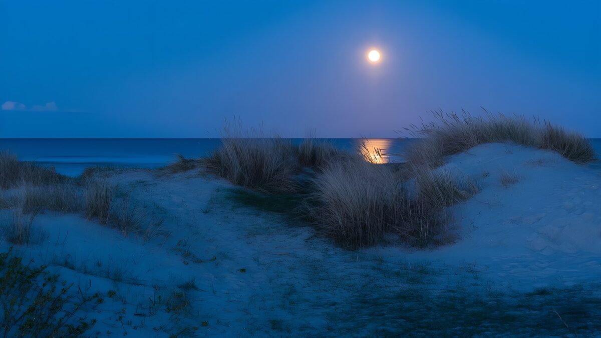 OCUK43460: Moonlit Dunes by the Ocean