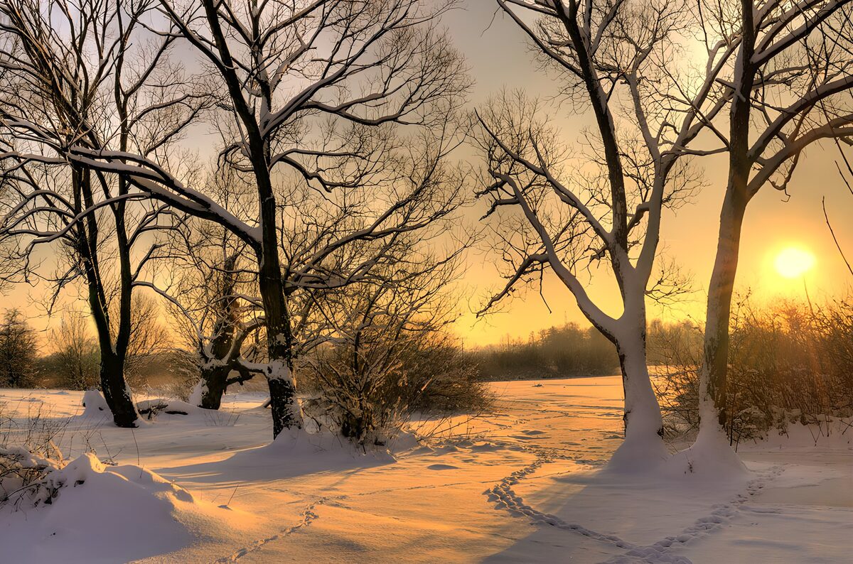OCUK30159: Winter Sunrise in a Snowy Landscape