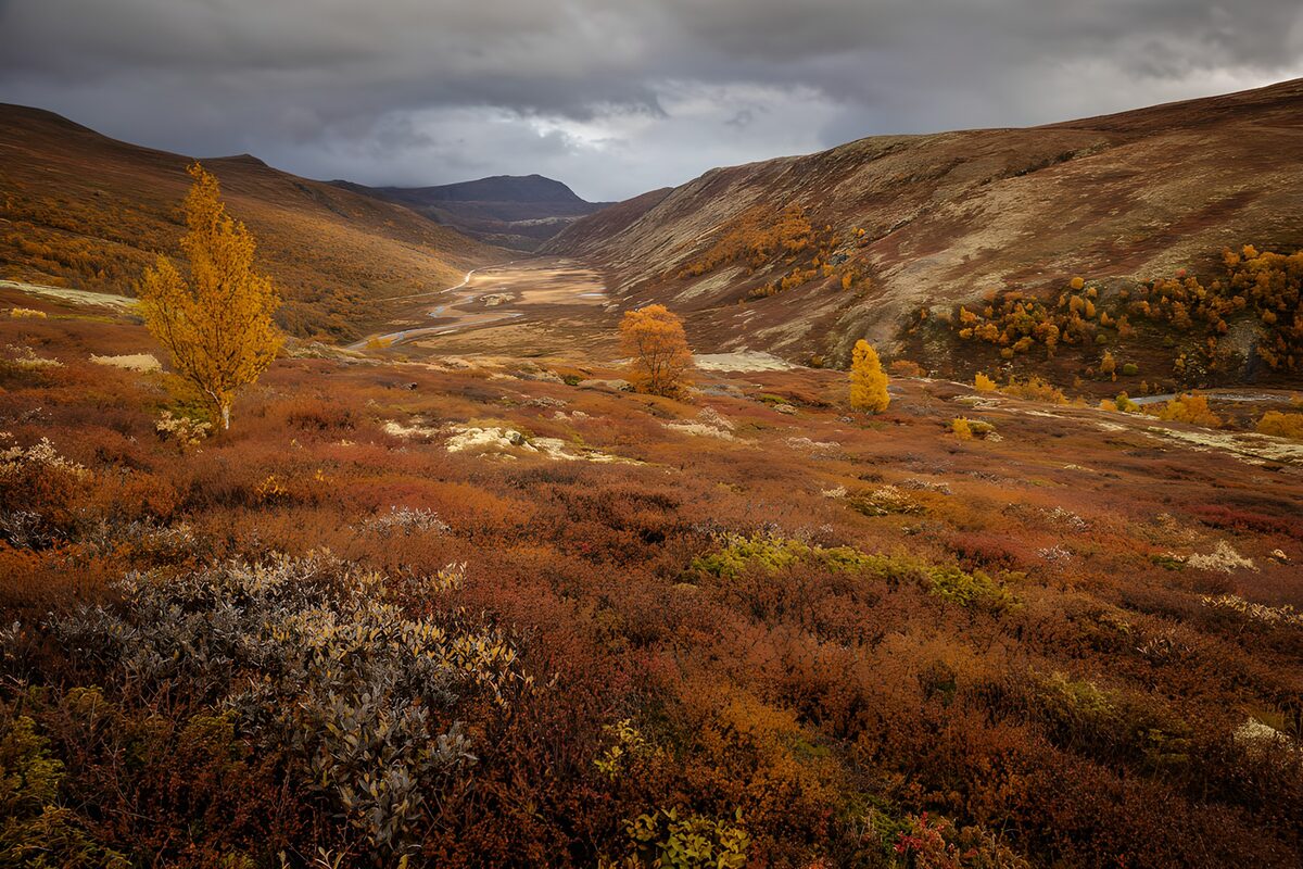 OCUK46499: Autumn Serenity in the Valley