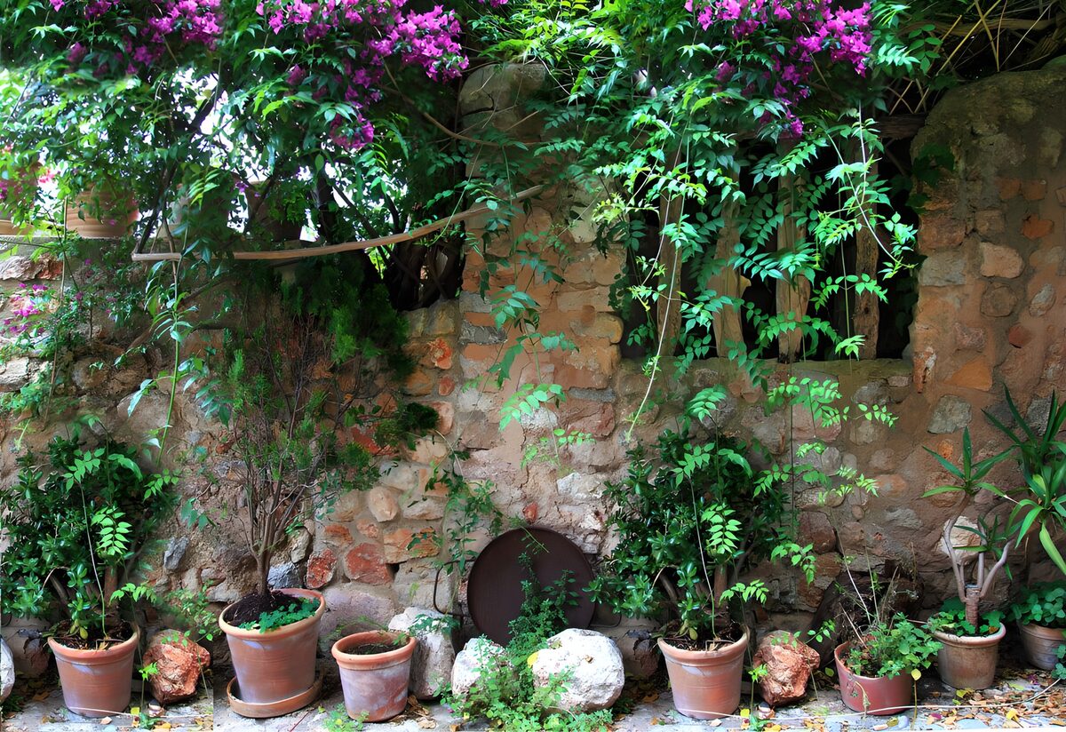 OCUK10797: Old brick wall covered with purple flowers and with flowerpots