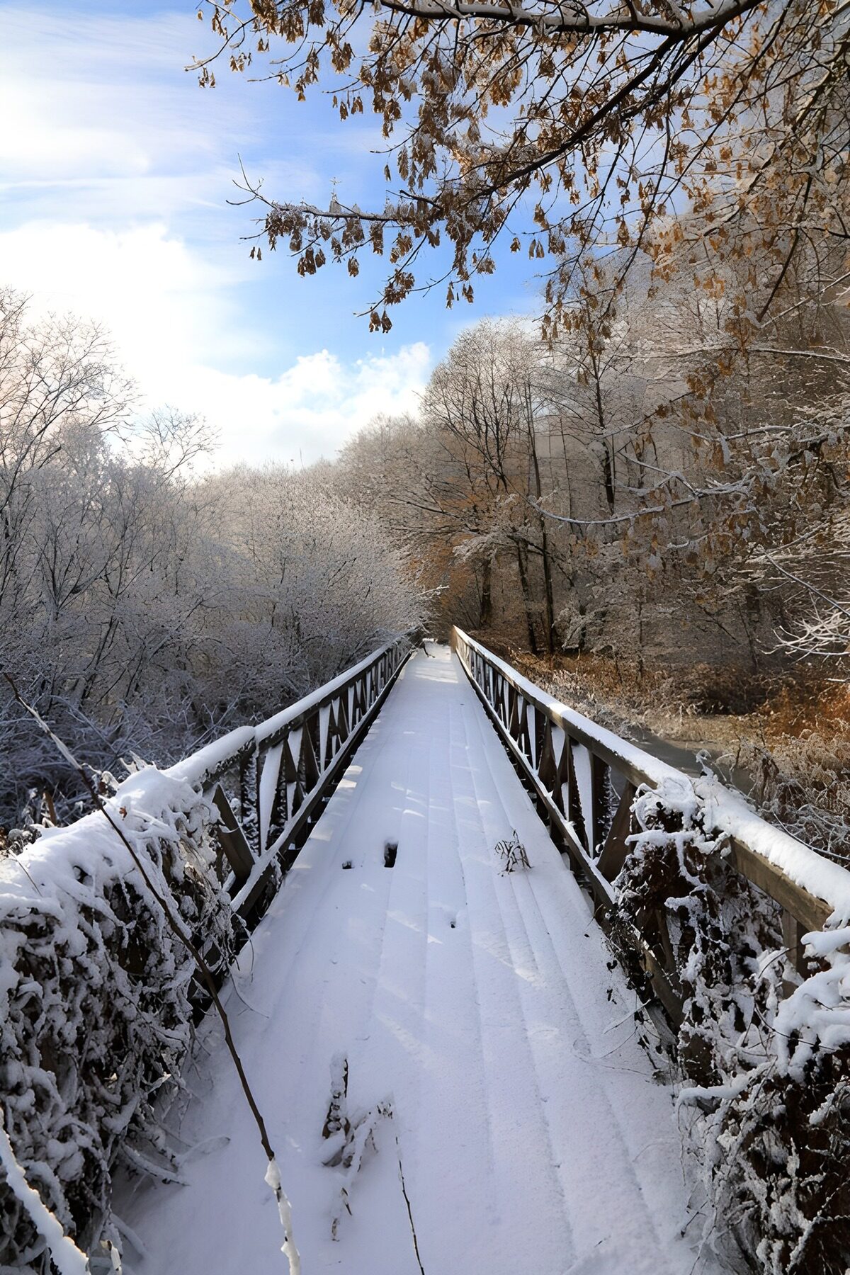 OCUK40270: Winter Wonderland Pathway