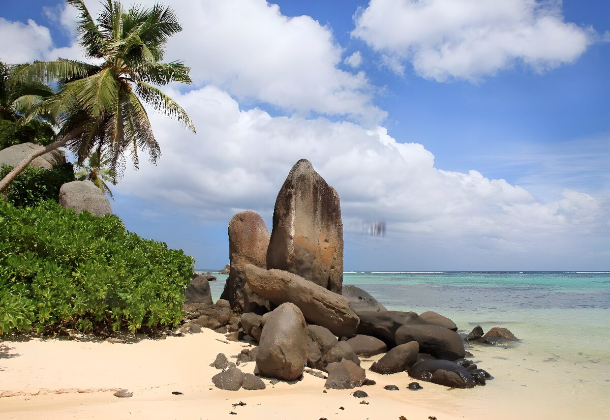OCUK24766: Serene Tropical Beach Oasis