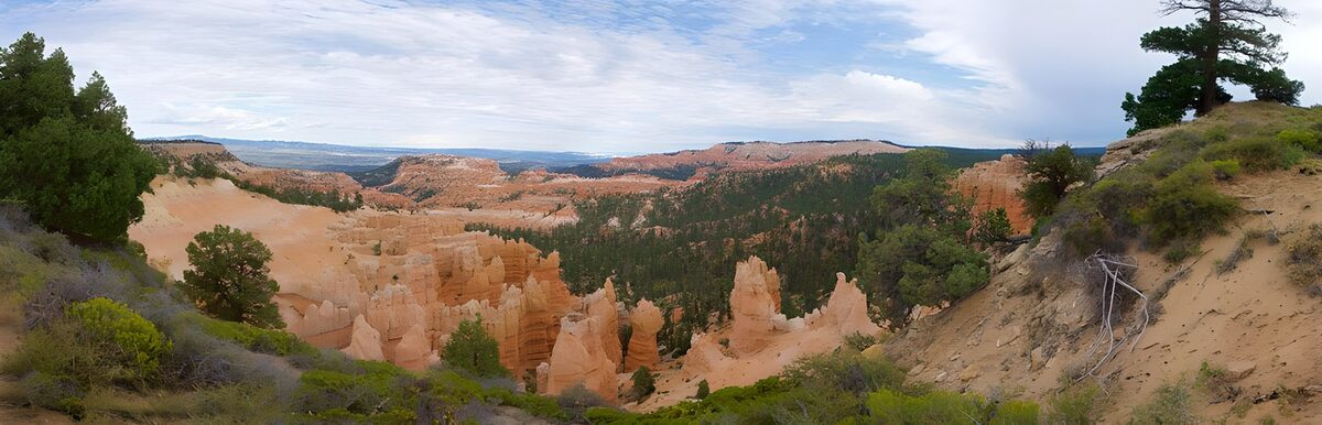 Majestic Bryce Canyon Vista