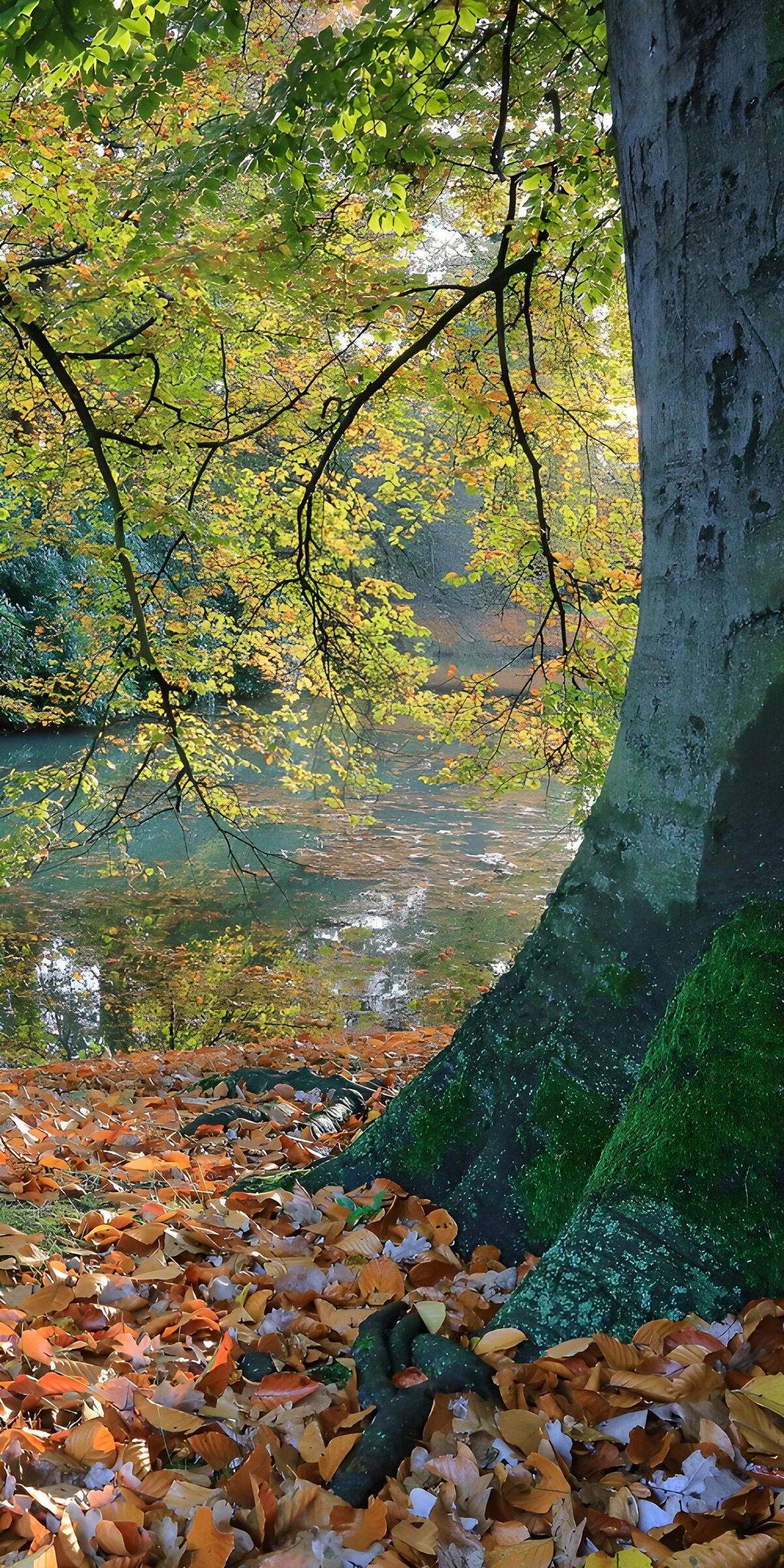 OCUK84820: Autumn Serenity by the Water