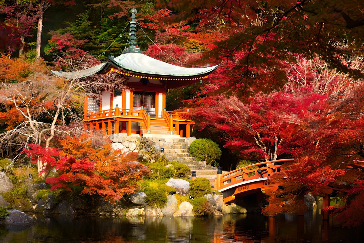 OCUK60218: Tranquil Autumn Serenity