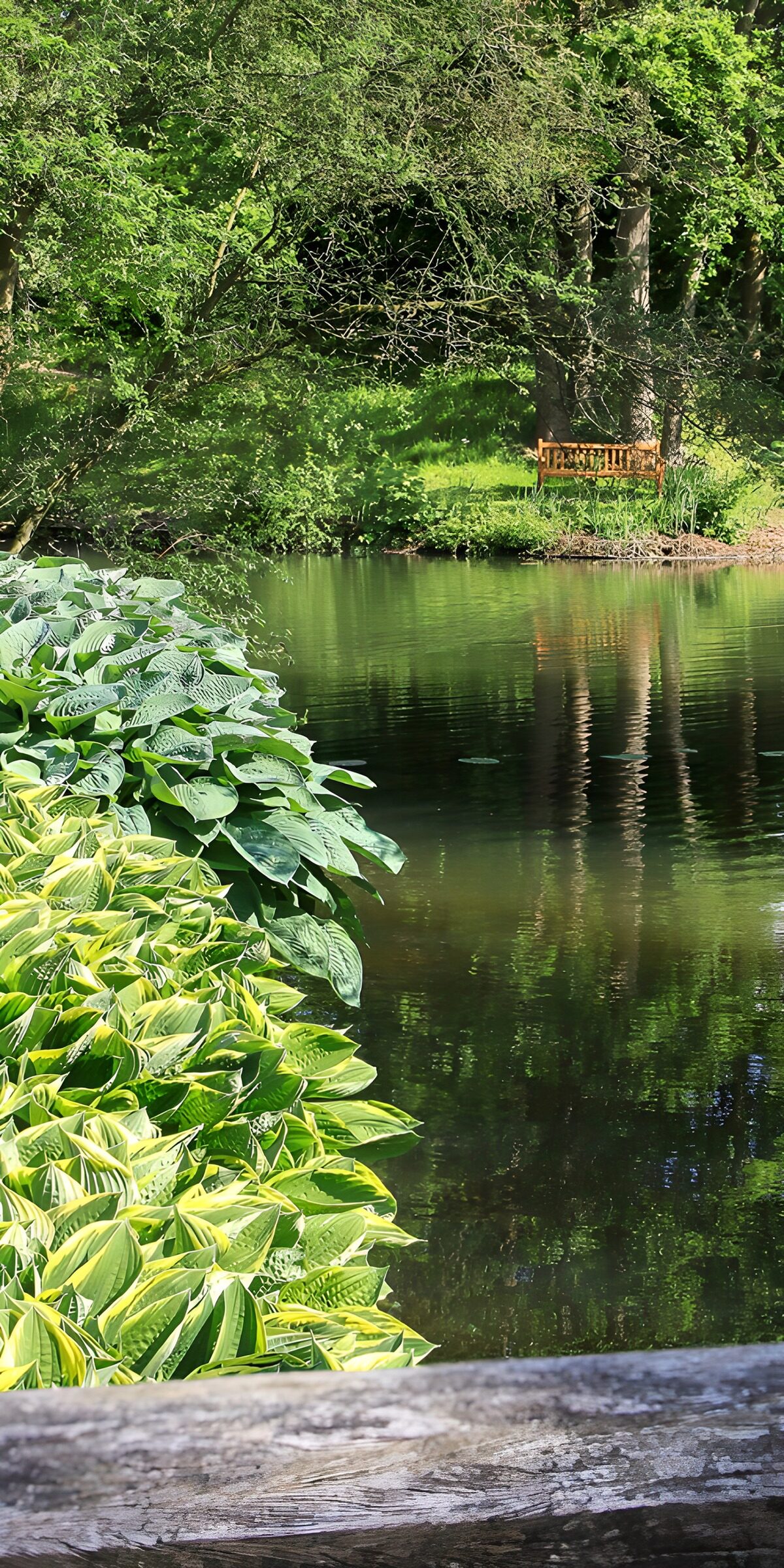 OCUK83243: Tranquil Reflections by the Water