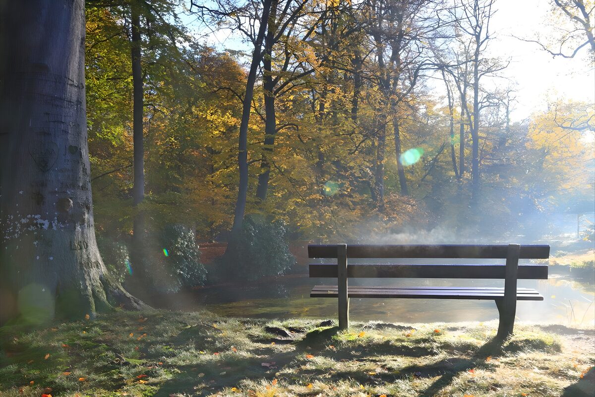 Foggy bench in the autumn sun 2