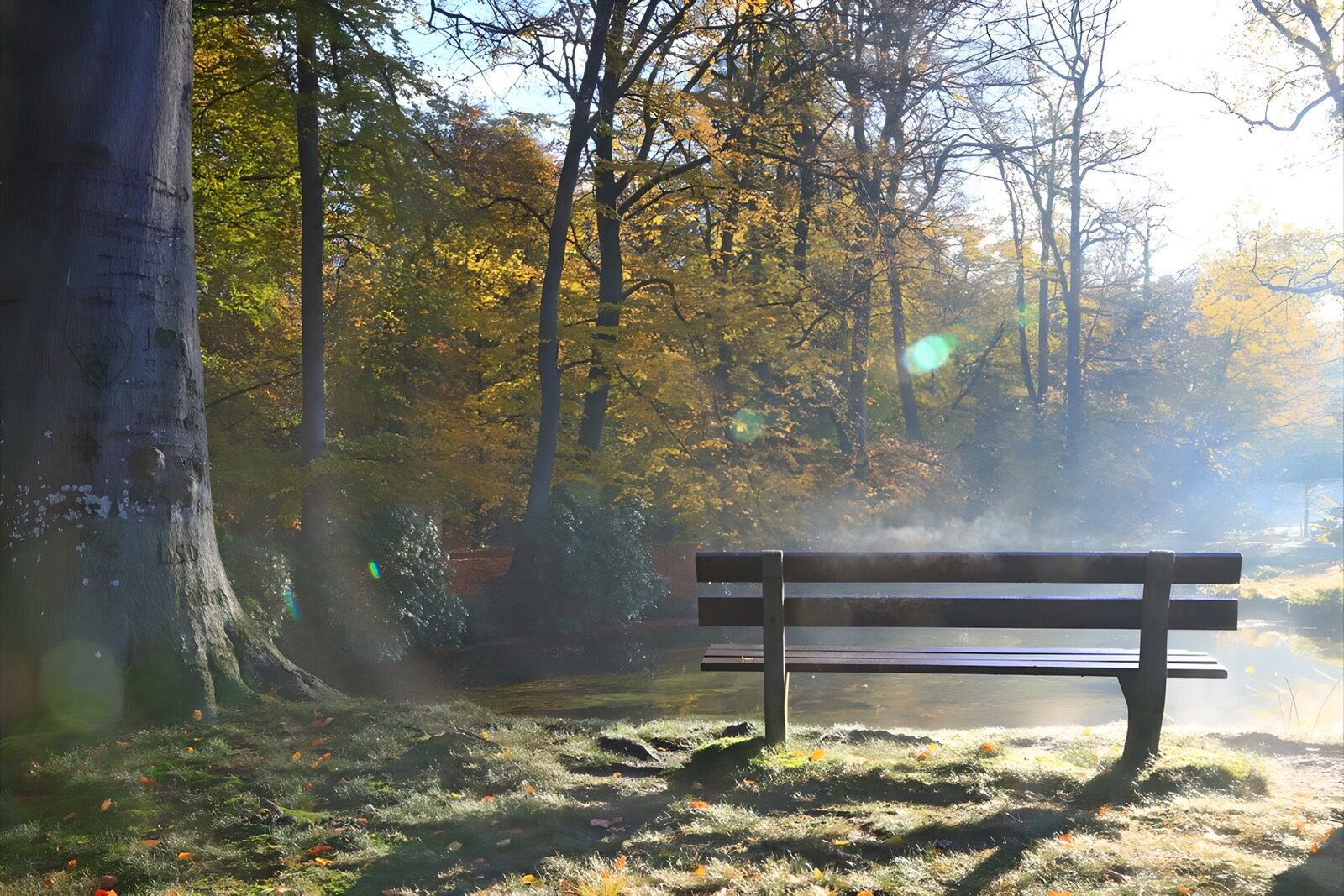 OCUK72816: Foggy bench in the autumn sun 2