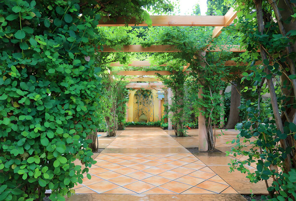 OCUK14904: Lush Green Garden Pathway