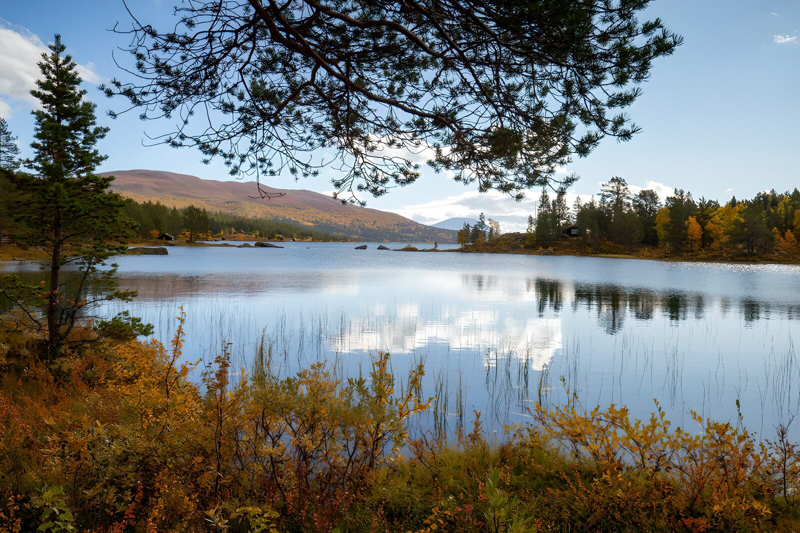 OCUK11296: Tranquil Autumn Lake Reflection
