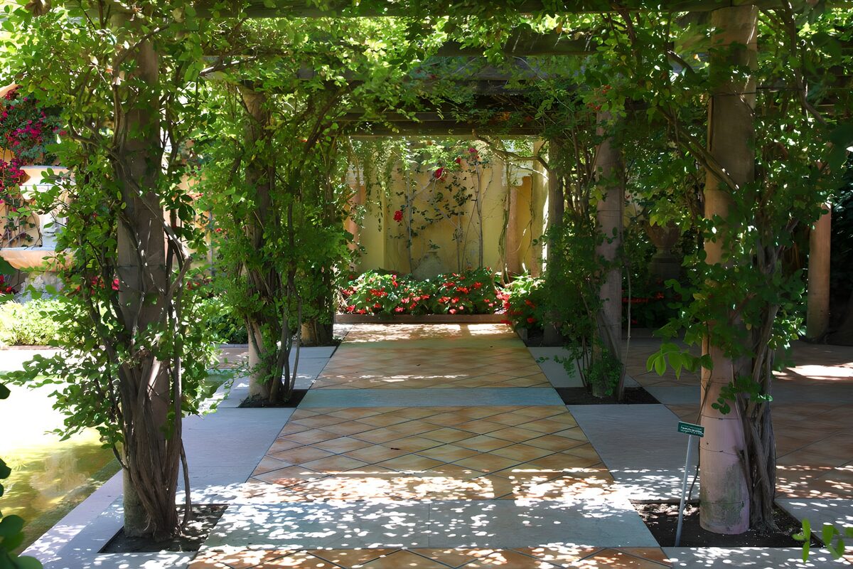 OCUK58915: Serene Garden Pathway Beneath Greenery