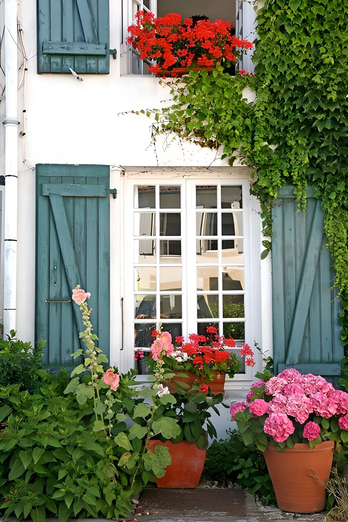 OCUK73932: House with ivy with shutters on the second floor