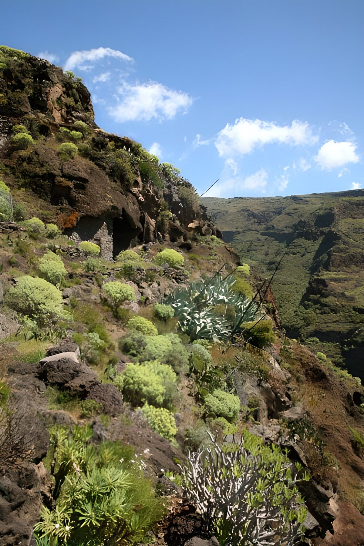 OCUK94272: La Gomera 28