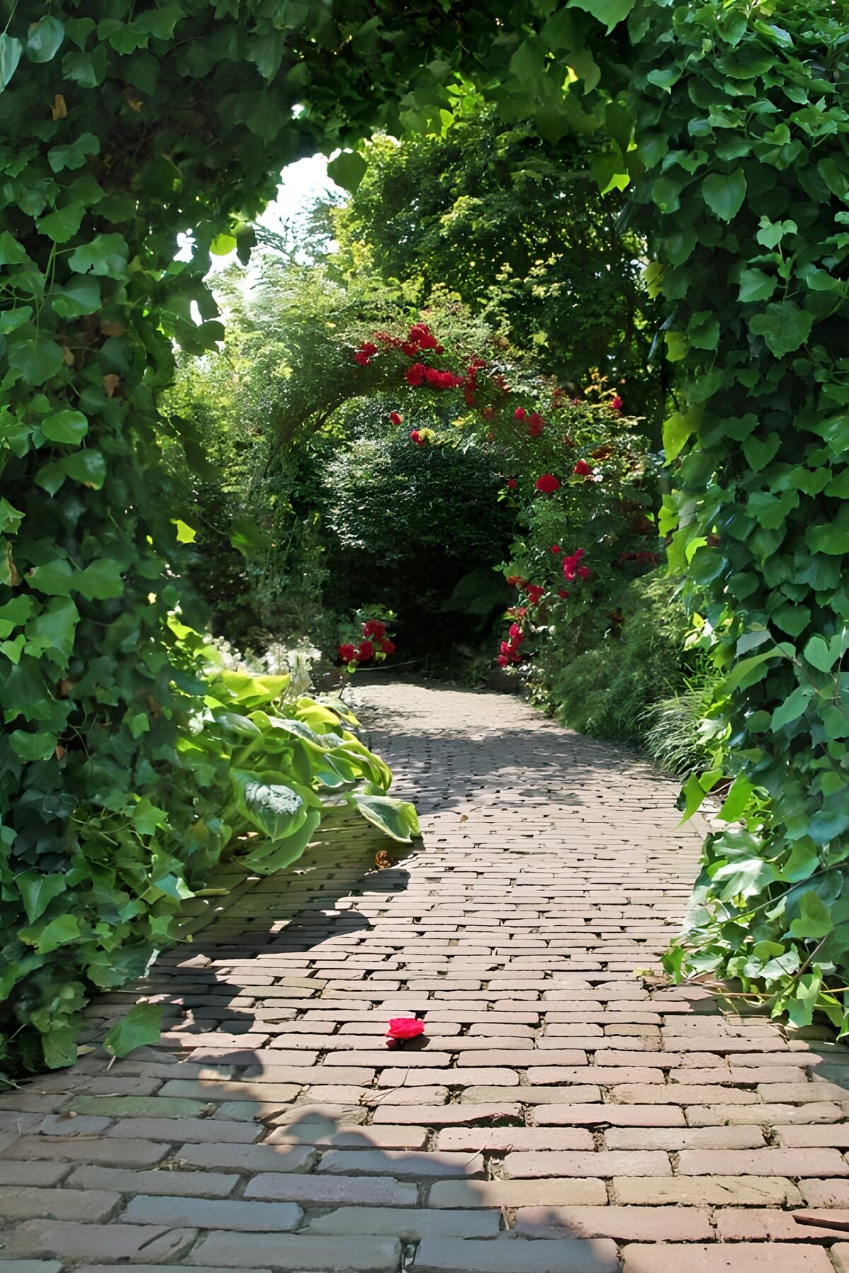 OCUK52382: Brick covered pathway with lots of flowers
