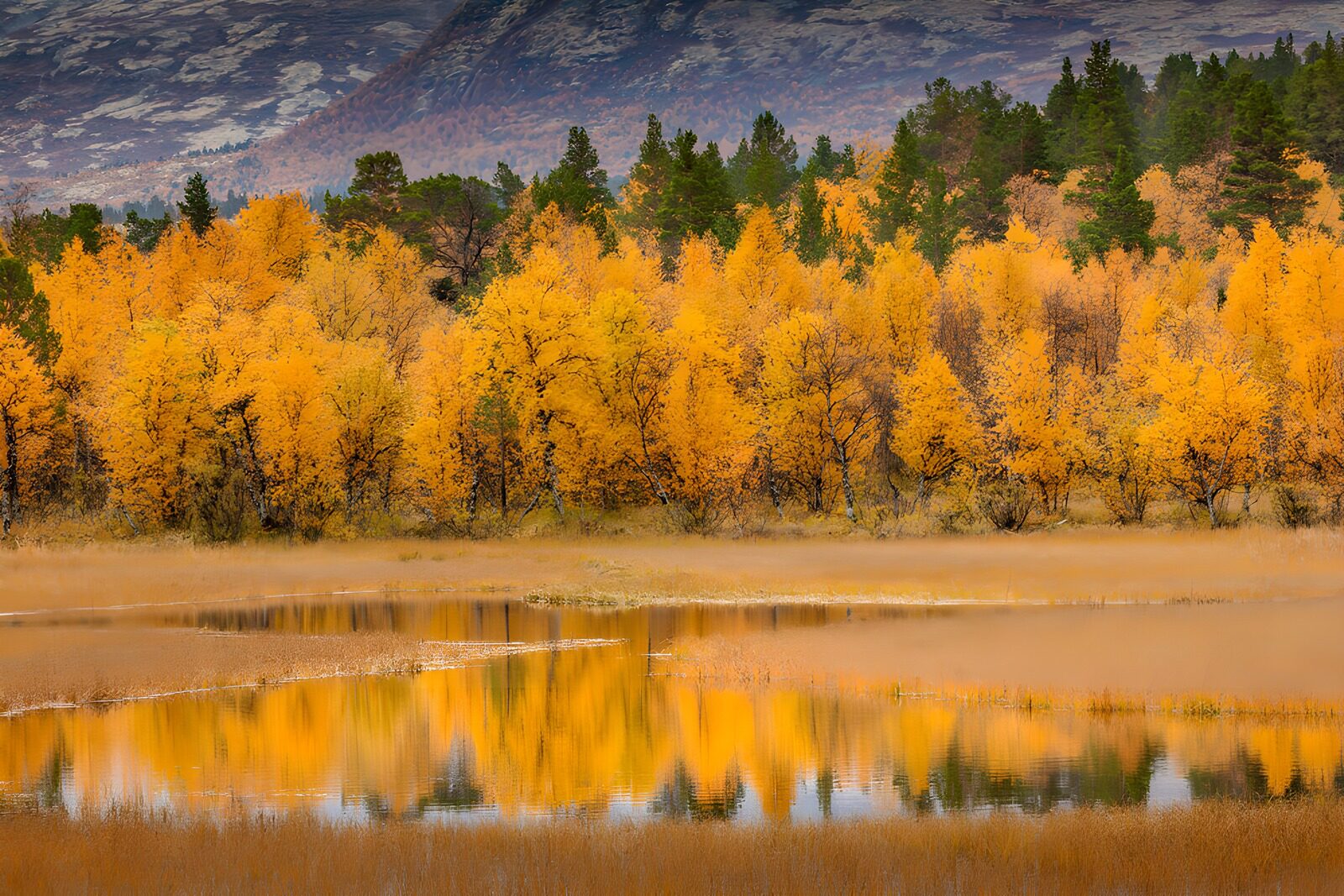 OCUK94894: Autumn Reflections in Nature