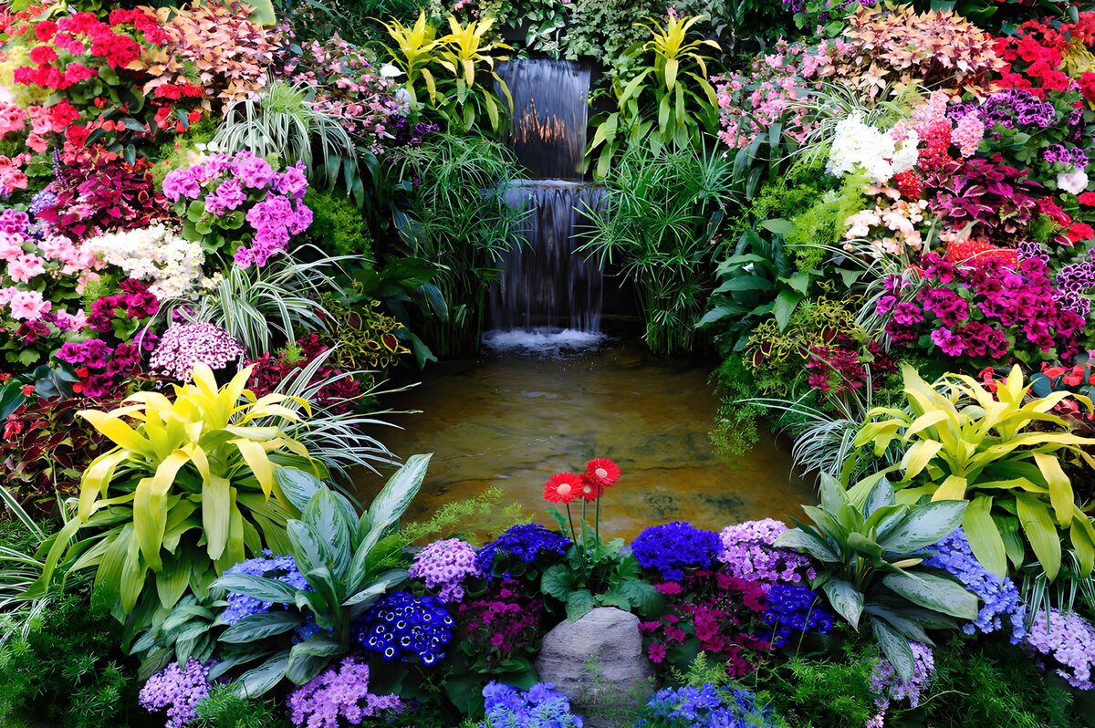 Vibrant Garden Oasis