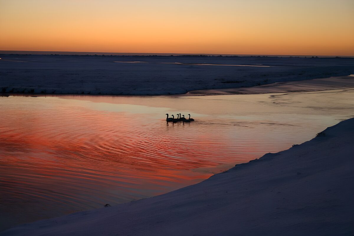OCUK72310: Serene Sunset Over Icy Waters