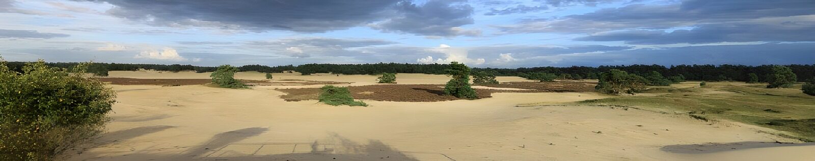 OCUK57769: Serene Sandy Landscape Under Dramatic Skies