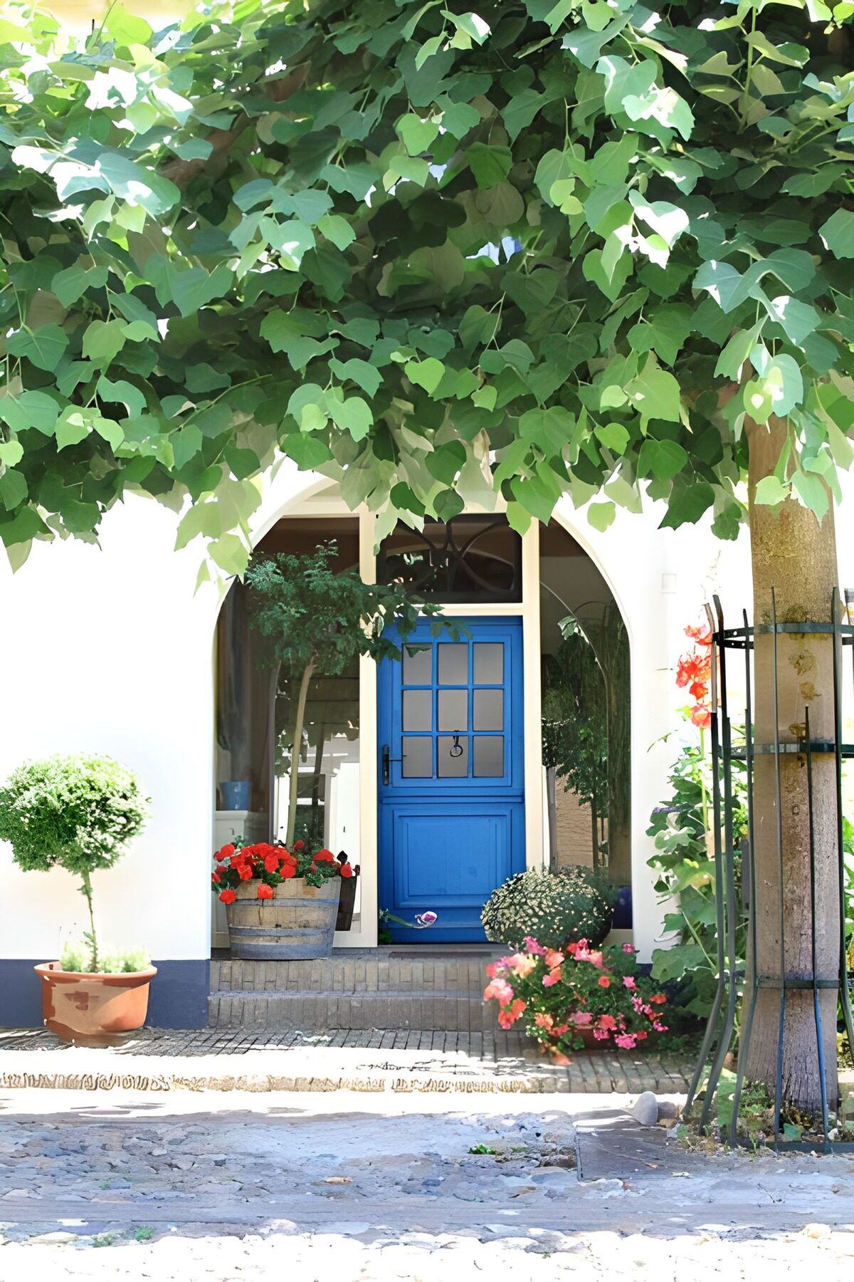OCUK61024: View of blue door with leaves of tree.
