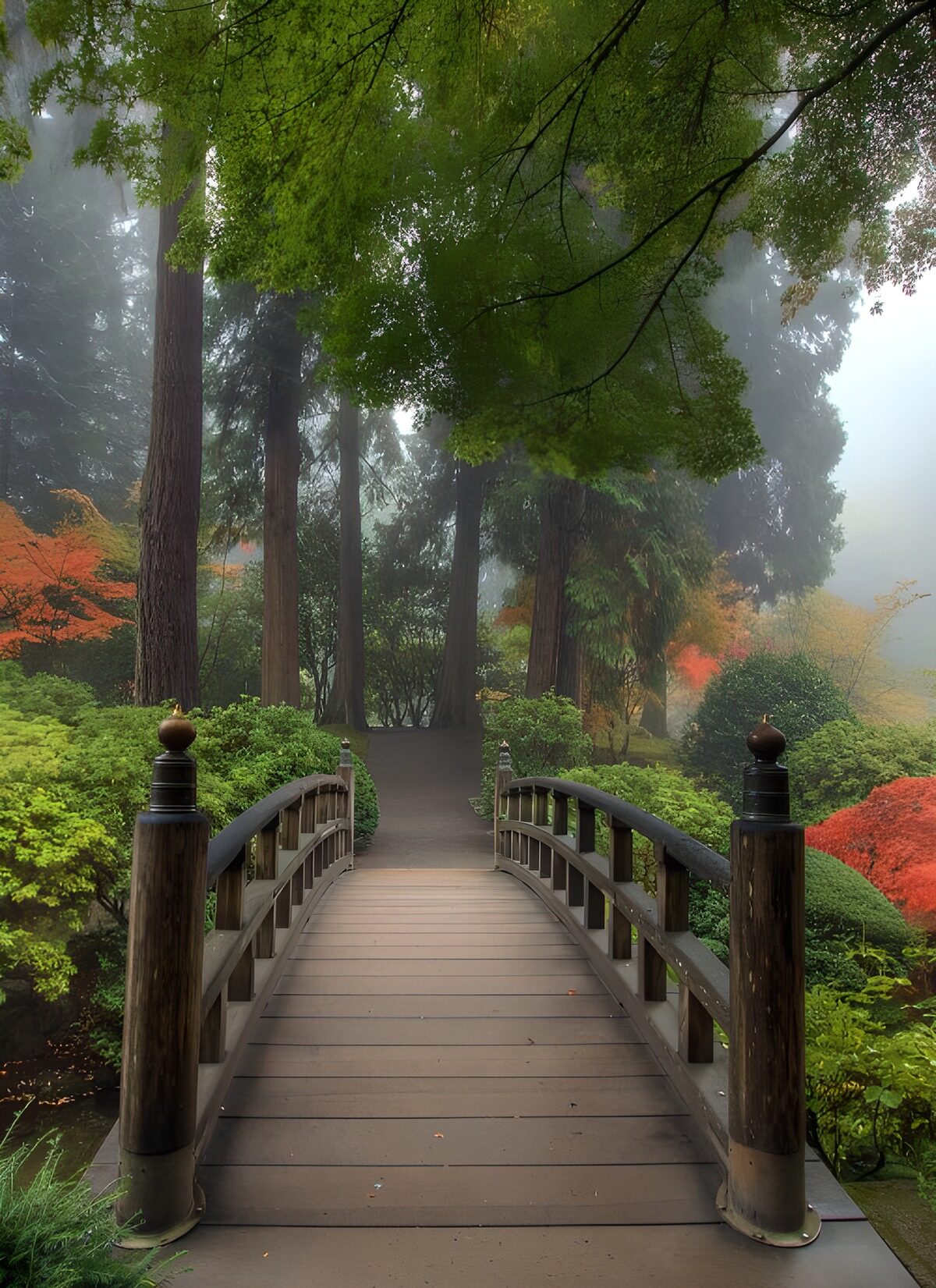 OCUK88813: Serene Garden Pathway
