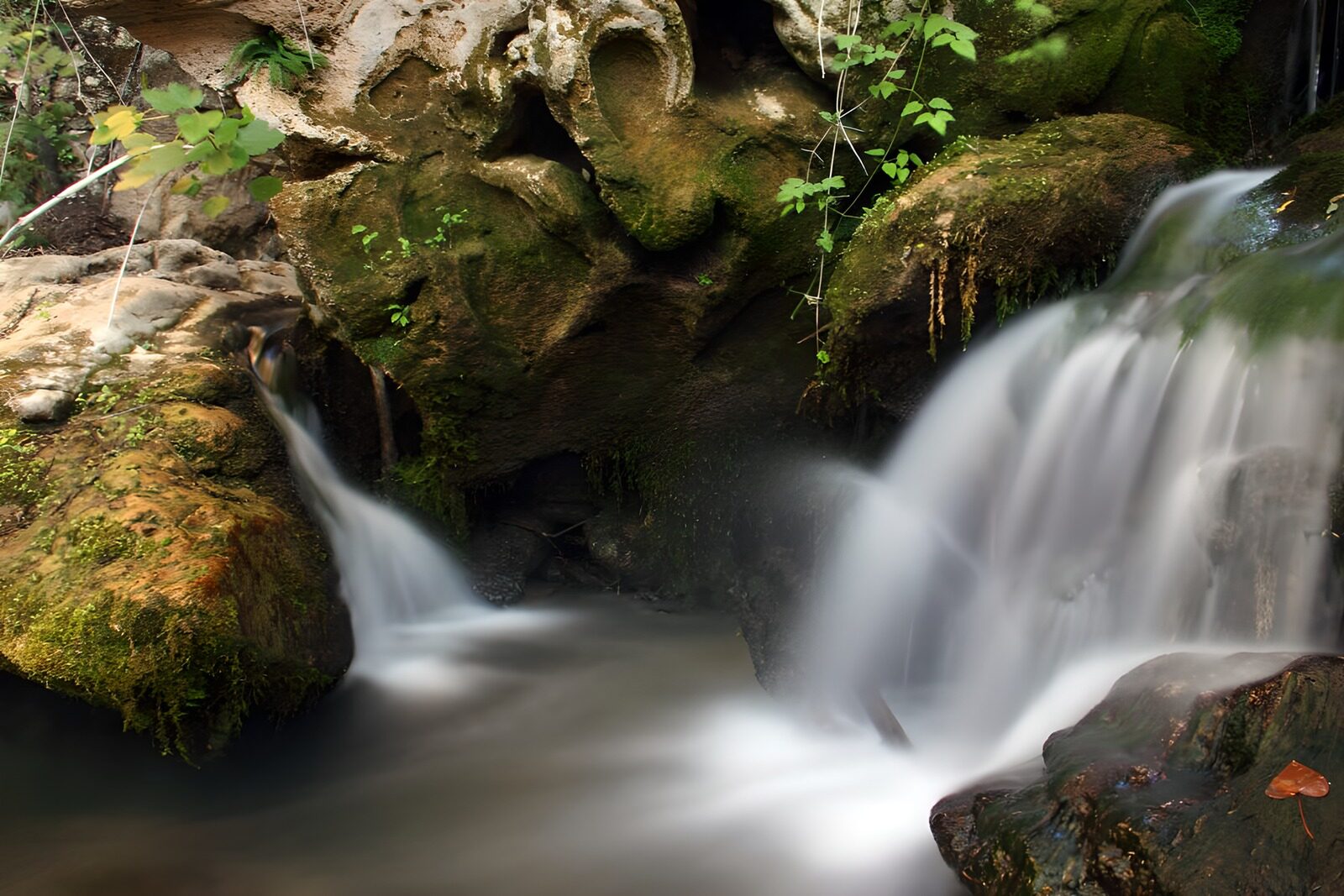 OCUK69849: Tranquil Forest Stream