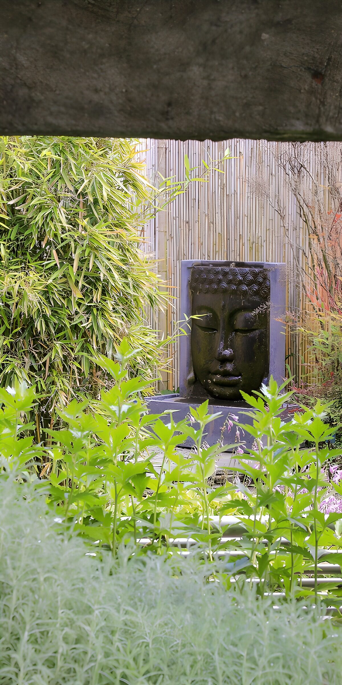 OCUK19508: Serene Buddha in a Lush Garden