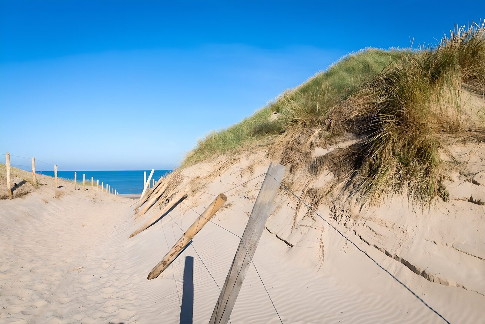 OCUK53939: Sand path to the sea in "Bergen"