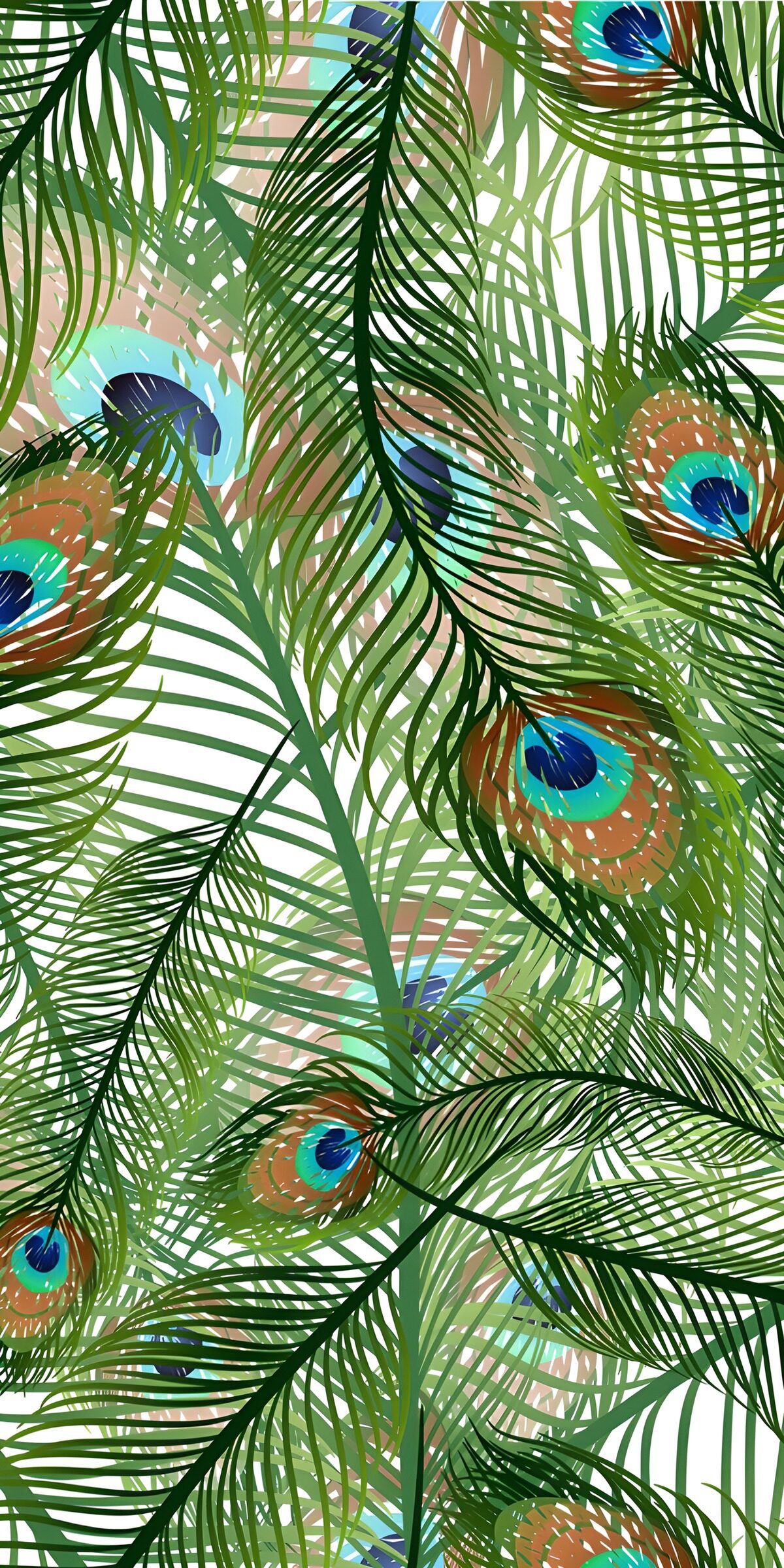 OCUK83131: Vibrant Peacock Feather Pattern