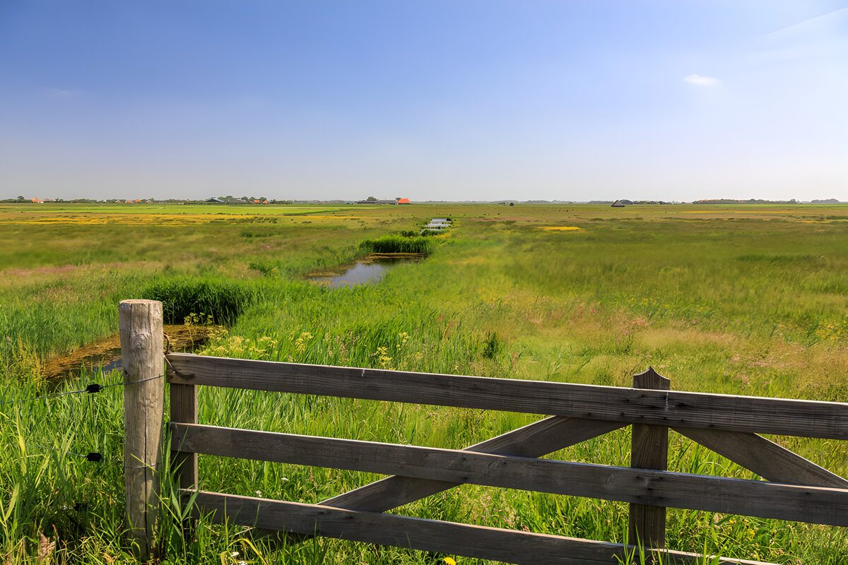 OCUK80224: Serene Meadow with Wooden Gate