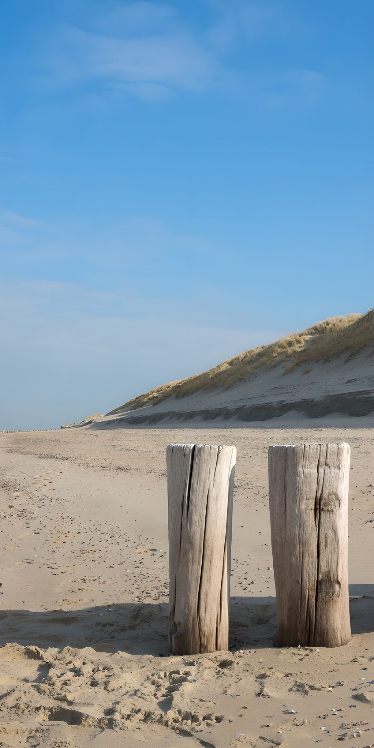 OCUK73005: Weathered Posts on a Tranquil Beach