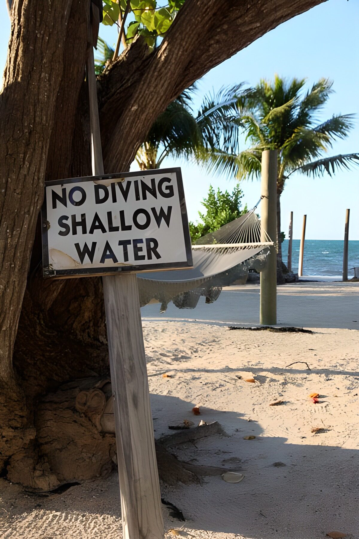 OCUK86591: Palm trees on the beach with 'No Diving Shallow Water' sign