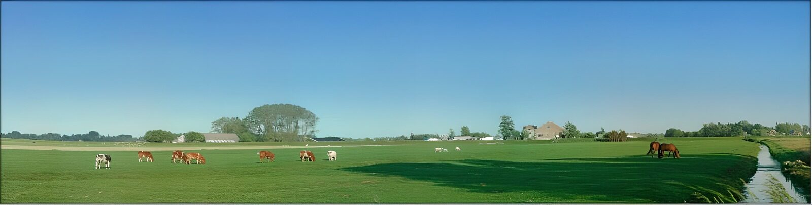 OCUK54442: Dutch meadow landscapes 5
