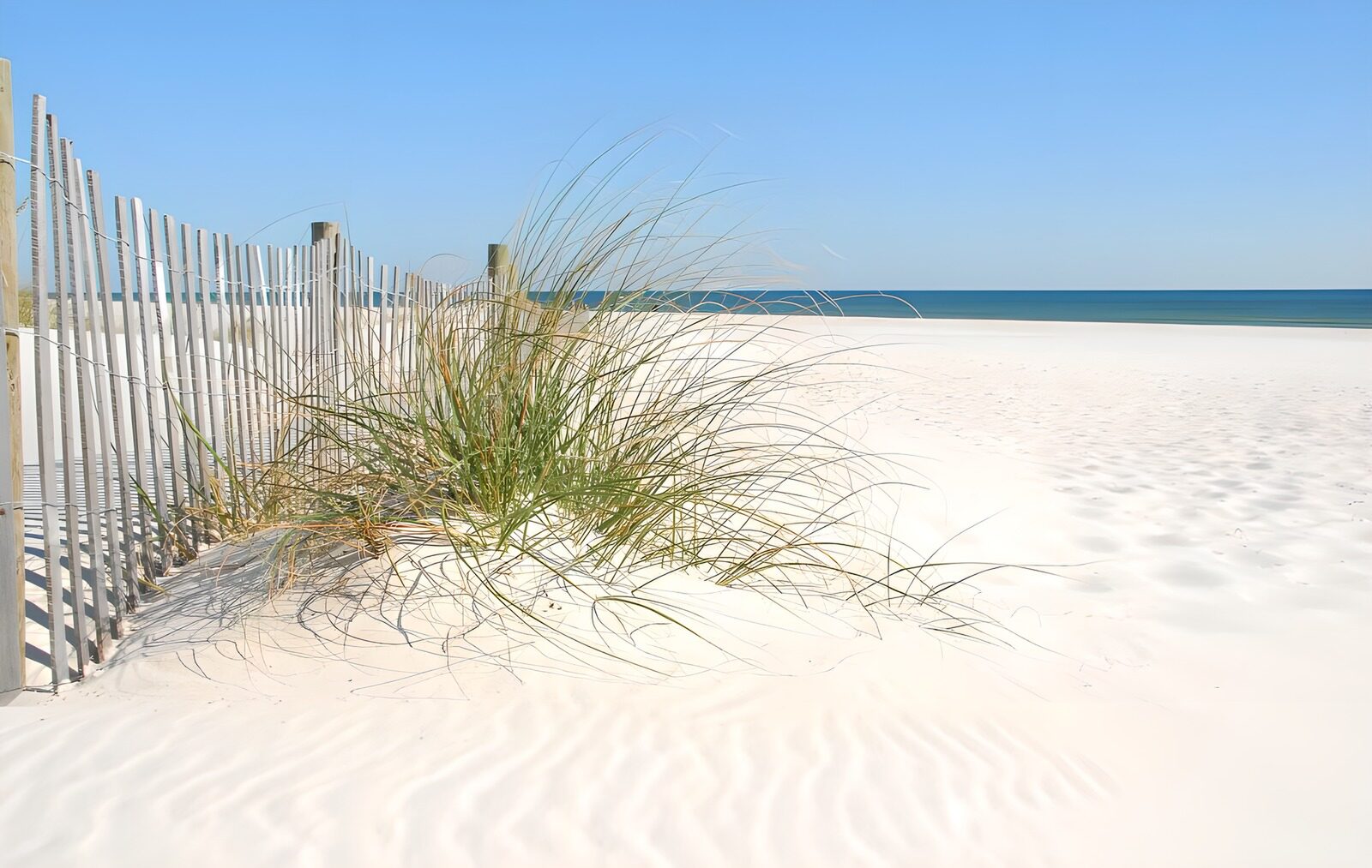 OCUK90292: Serene Beach Dunes Under Clear Sky