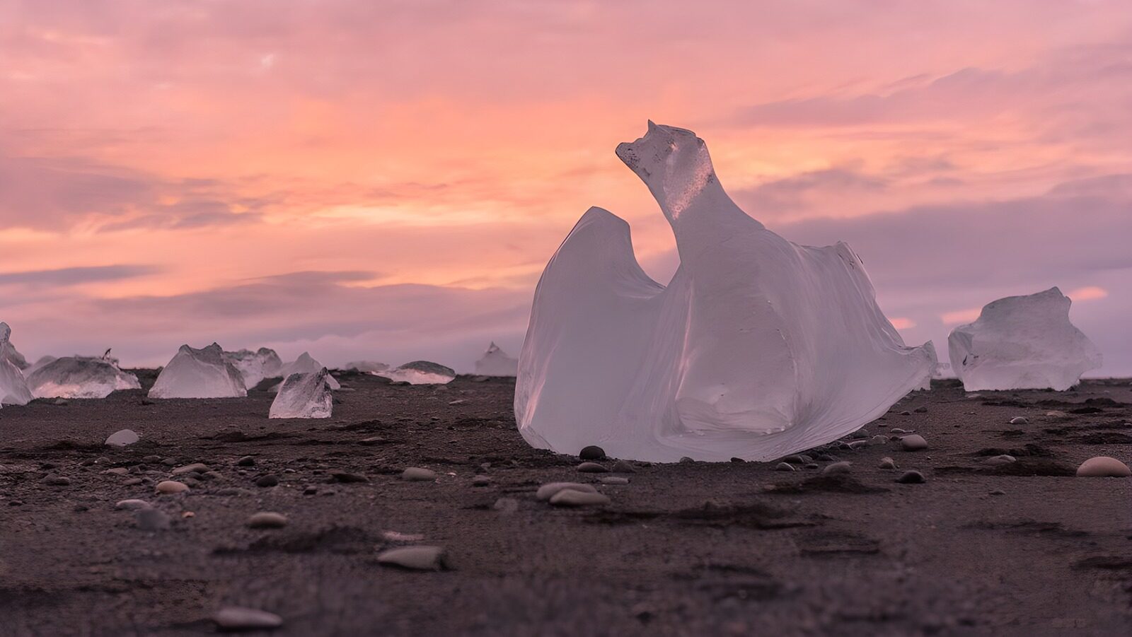 OCUK75032: Ice Sculpture at Sunrise
