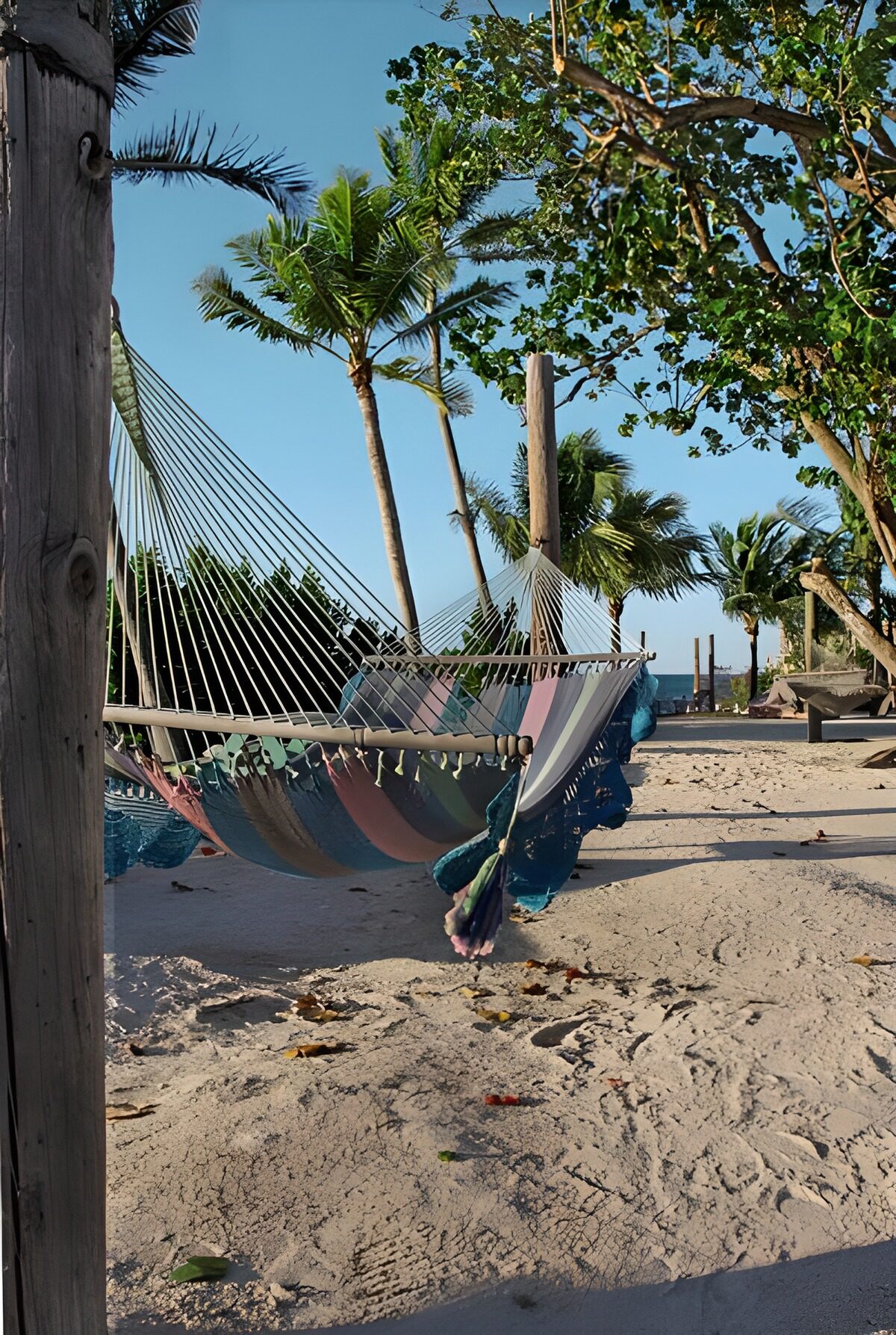 OCUK14591: Hammock between two palm trees