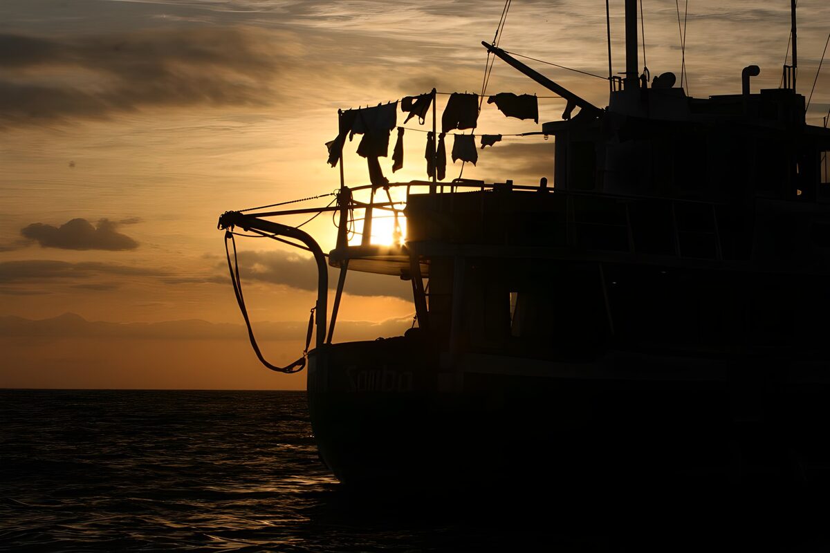 OCUK81364: Sunset Silhouettes on the Samba