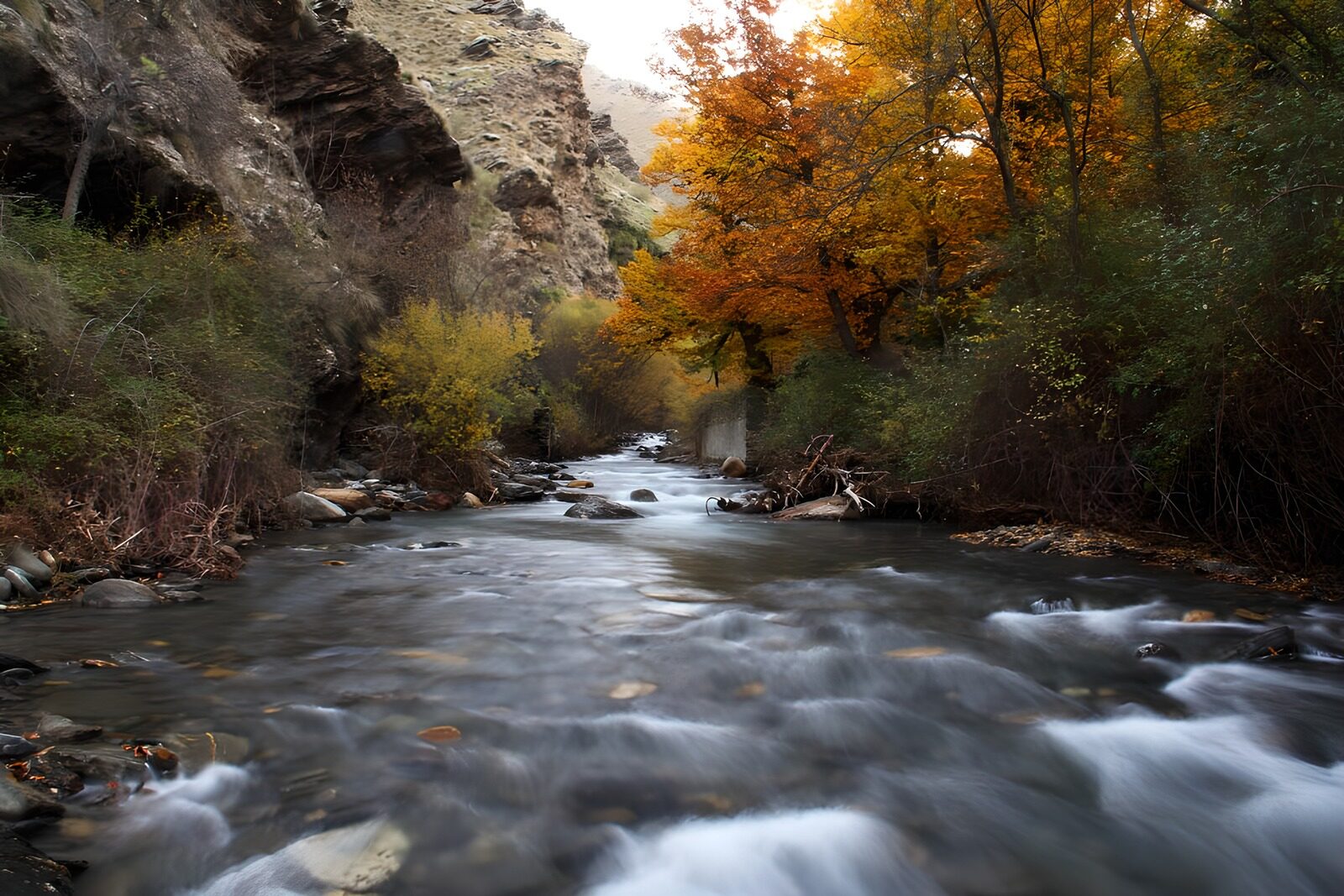 OCUK58165: Tranquil Autumn Stream in the Mountains