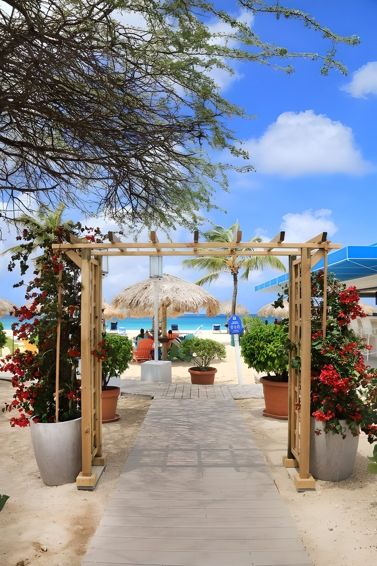 OCUK27544: Tropical Beach Pathway