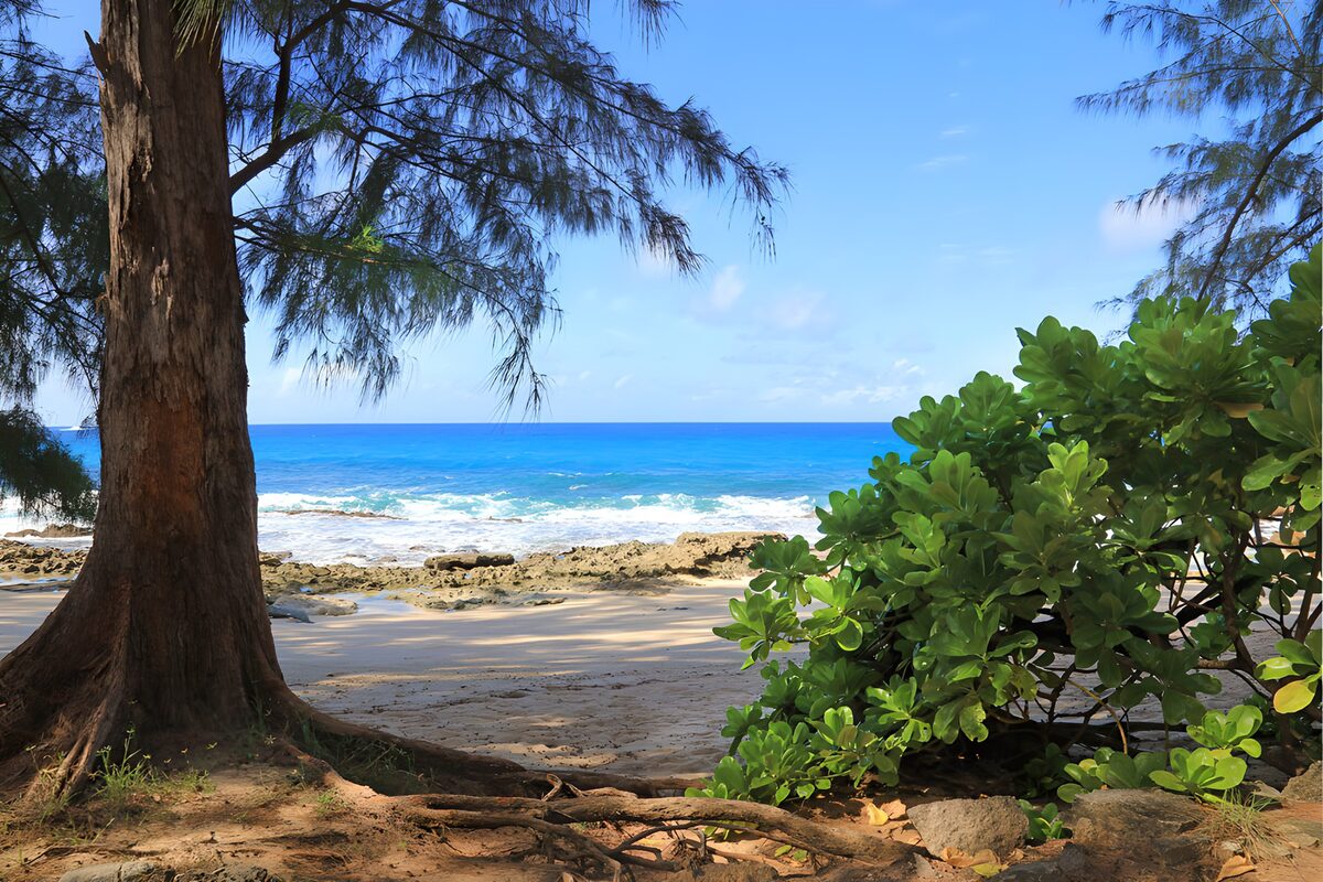 OCUK99065: Serene Coastal View
