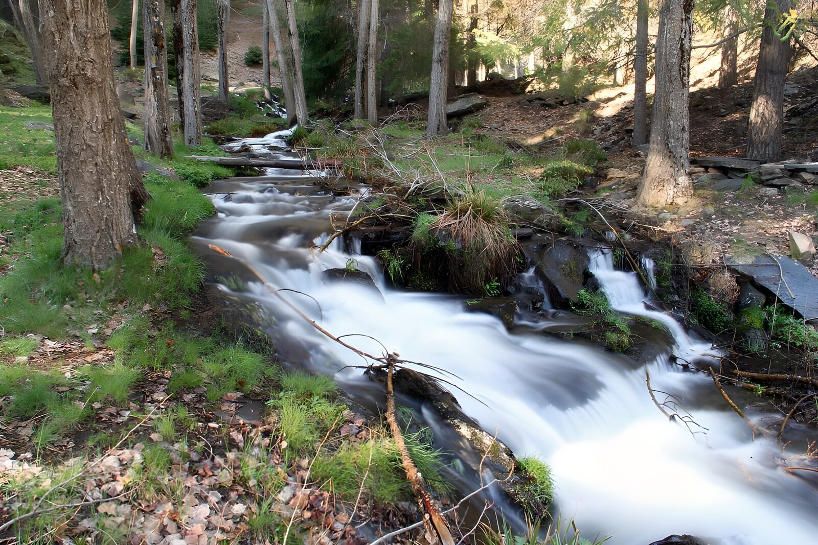 OCUK70390: Serene Forest Stream