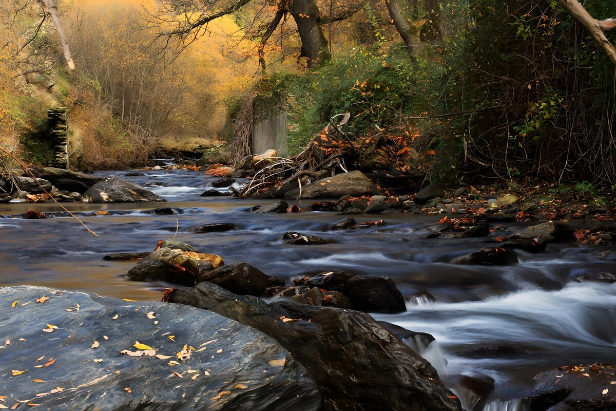 OCUK58797: Serene Autumn Stream