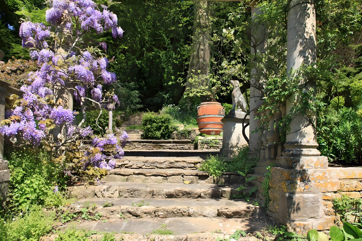 OCUK77626: Brick stairway next to Wisteria Sinensis