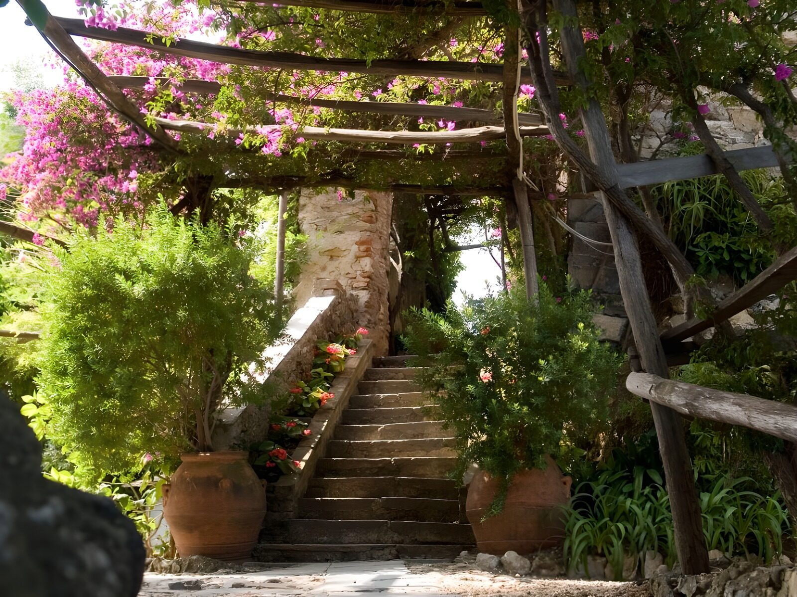 OCUK60623: Small steps with terracotta pots, flowers and plants
